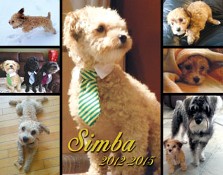 Cadre souvenir de Simba